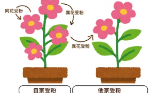 原发性胆汁性肝硬化身上没劲能活多久-原发性胆汁性肝硬化身上没劲网- 原发性胆汁性肝硬化会引起盗汗失眠吗知识,分享原发性胆汁性肝硬化6年了